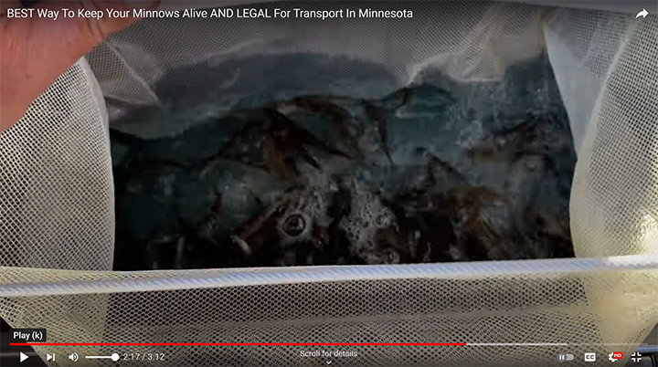 image links to video by jeff sundin about how to legally transport live bait in Minnesota