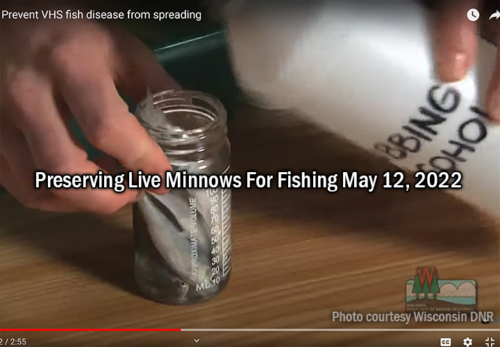 Image links to video about preserving minnows for use as fishing bait produced by the Wisconsin DNR