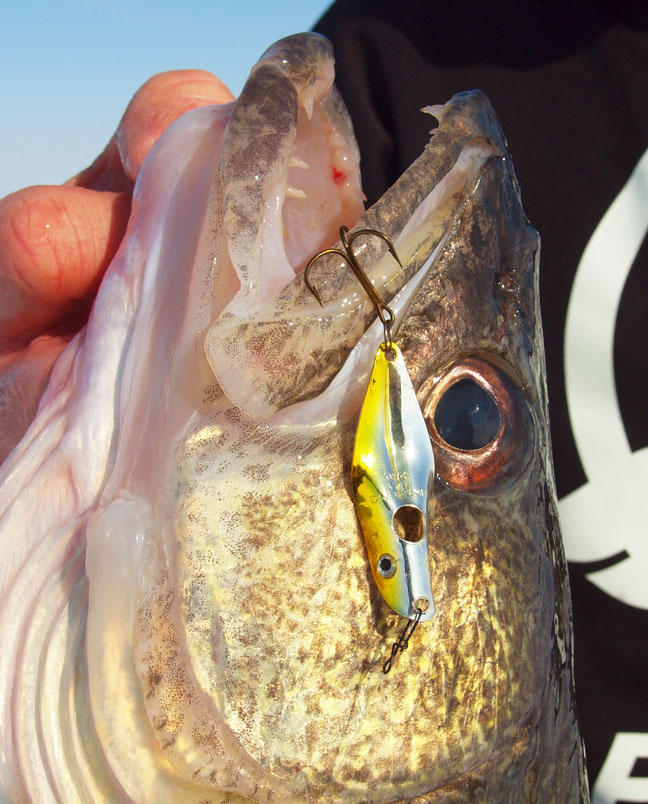 How To Troll For Walleyes 