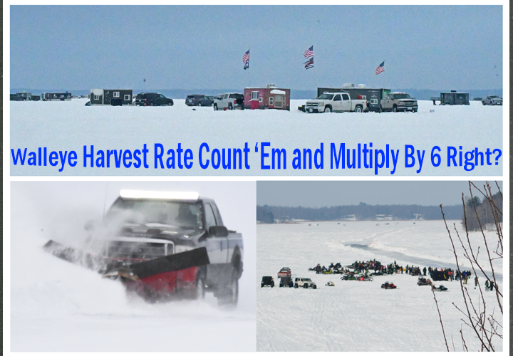image links to article about walleye harvest rates during the ice fishing season