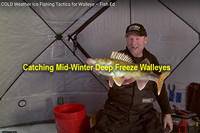 image links to Fish ED walleye fishing video