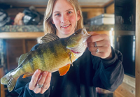 image of huge perch caught on Kabetogama