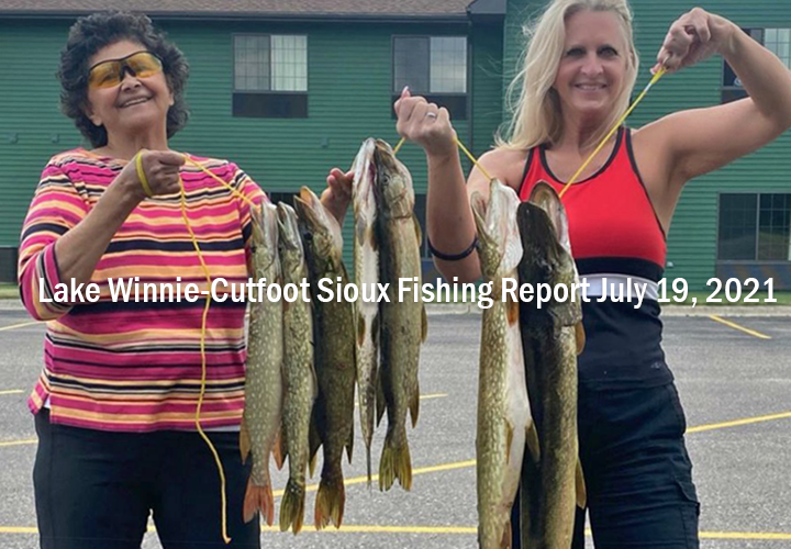 Northland Fishing Jigs - Bemidji Area, Cass, Leech and Winnibigoshish Lake  Fishing Reports - Hunting - Outdoor Minnesota Fishing Reports - Hunting  Forum - Ice Fishing