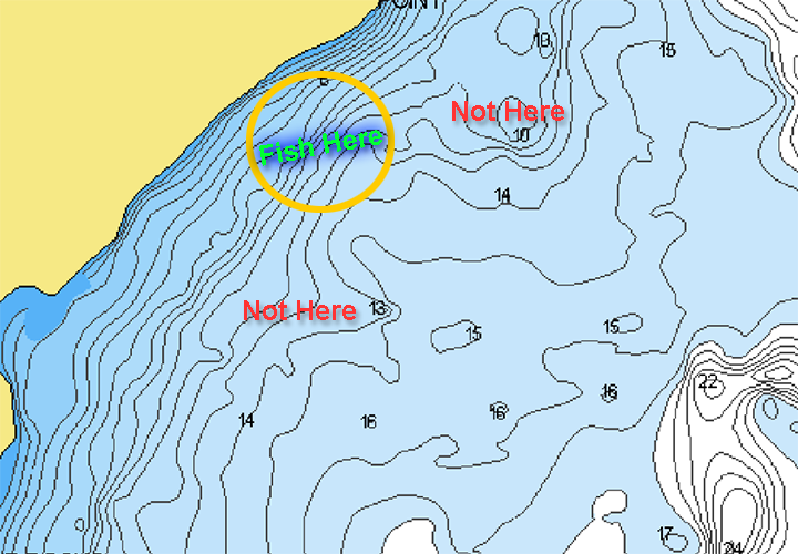 image of lake winnie walleye location map