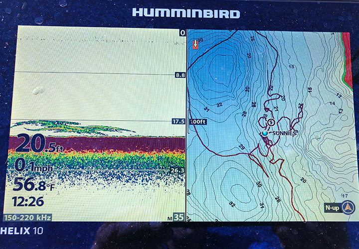 image of Humminbird split screen showing bluegill locations on bith map and sonar