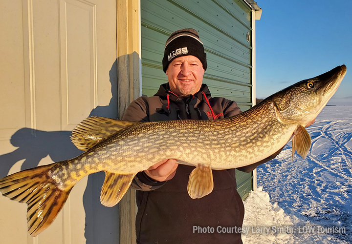 http://www.fishrapper.com/images/2021-fishing-link-hovers/122921-lake-of-the-woods-Larry-Smith-northern-pike-ice-fishing-clear.png