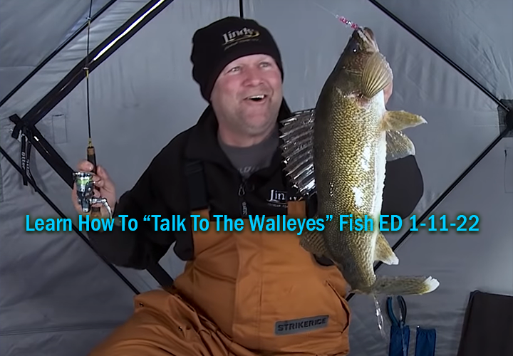 image links to Lindy Fish ED video about using wally talker to catch winter walleyes