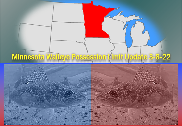 image links to article about Minnesota walleye possession limits