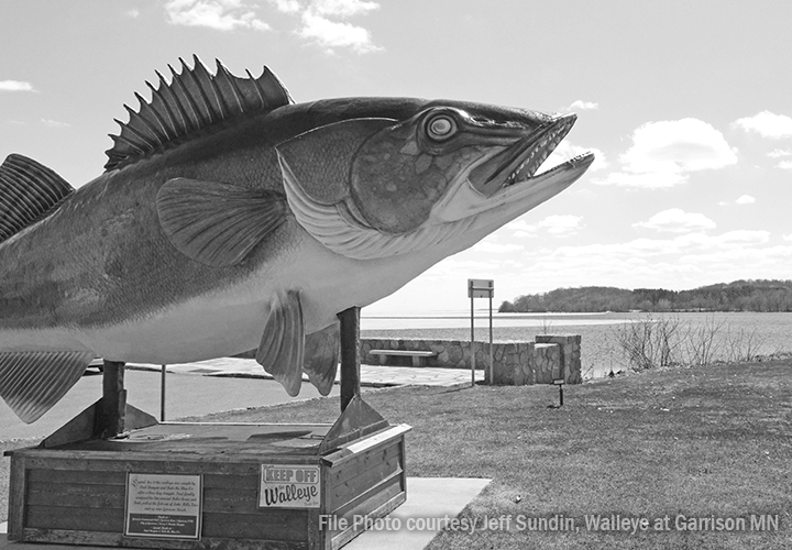 Minnesota Fishing Regulations News and Updates