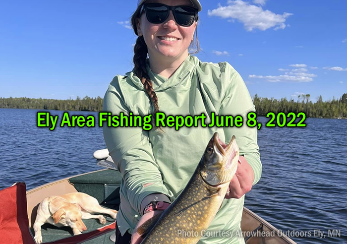 image links to ely mn fishing report