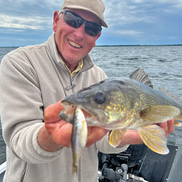 image of Jeff Sundin with nice walleye caught on Lindy Rig