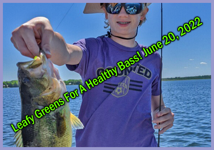 image links to fishing report from Longville mn area lake