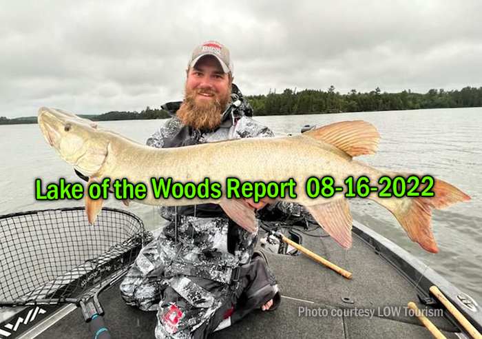 image links to fishing report from lake of the woods