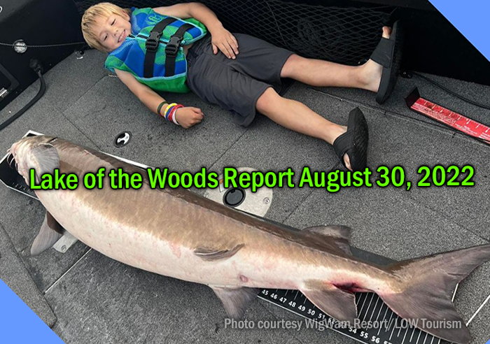 image links to fishing report from lake of the woods and the rainy river