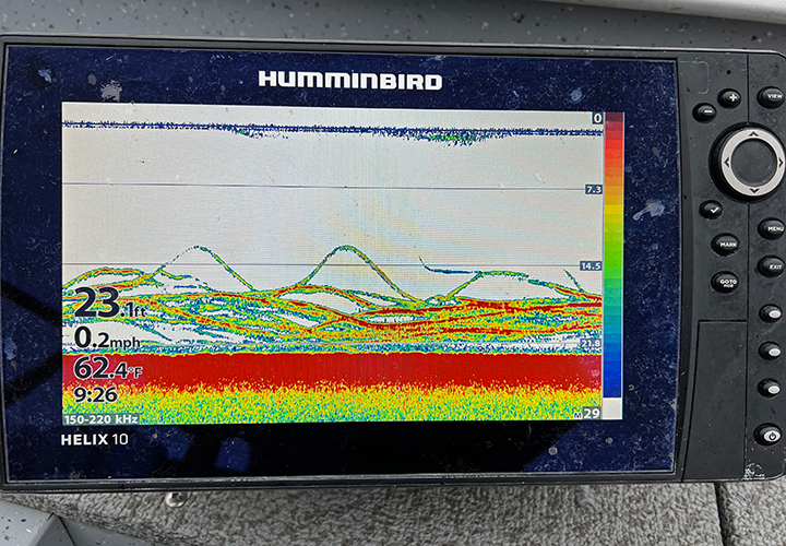image of crappies as shown on the screen of humminbird graph