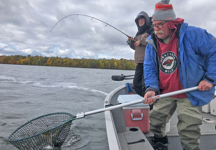 image of Mike Cooley netting walleye for Larry Lashley