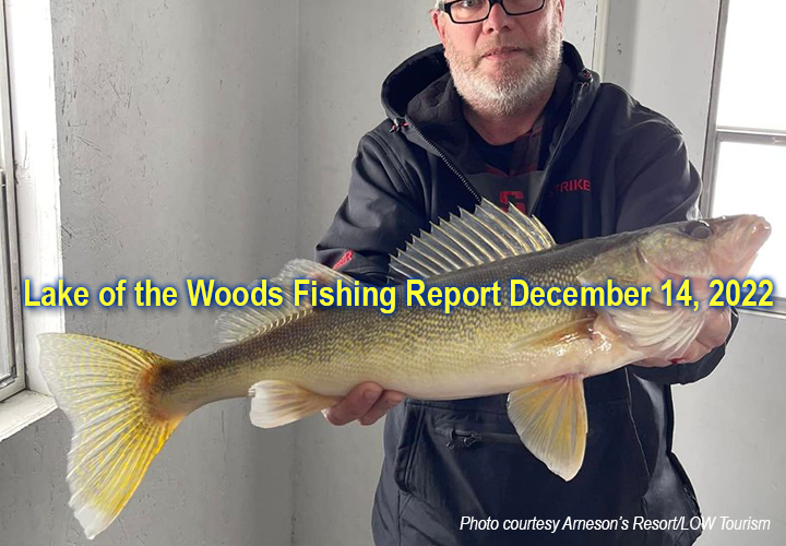 image links to ice fishing report from Lake of the Woods