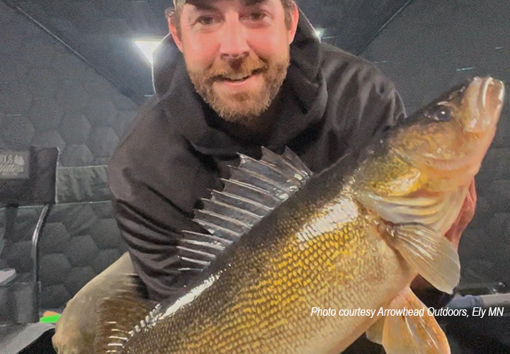 image of ice fisherman holding big walleye caught in the Ely MN region
