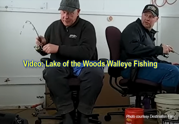 image links to video about ice fishing for walleyes on Lake of the woods