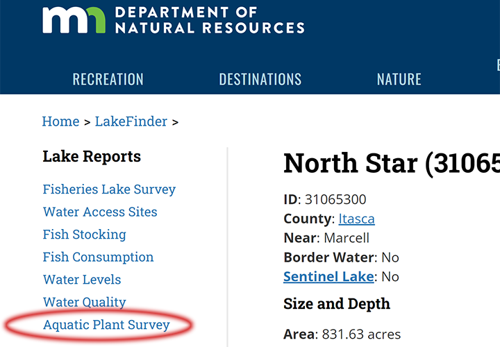 image illustrates how to use the MN DNR Lake Finder to research vegeation reports 