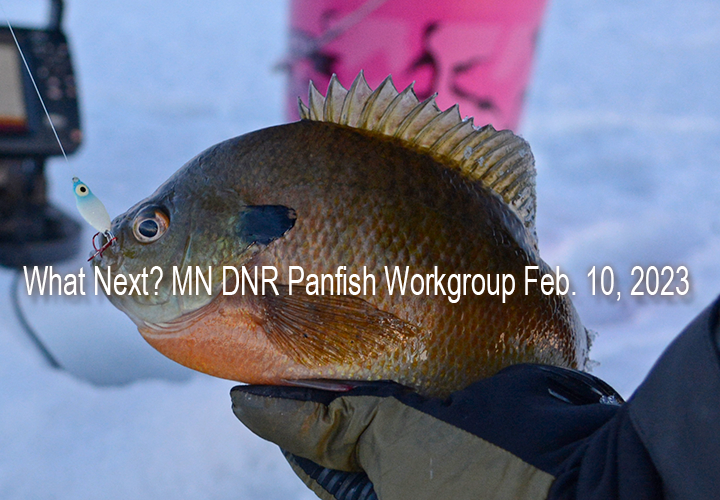 image links to article about Minnesota's panfish workgroup