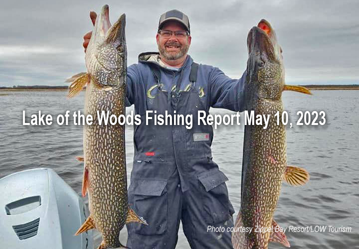 image links to fishing report from Lake of the Woods 