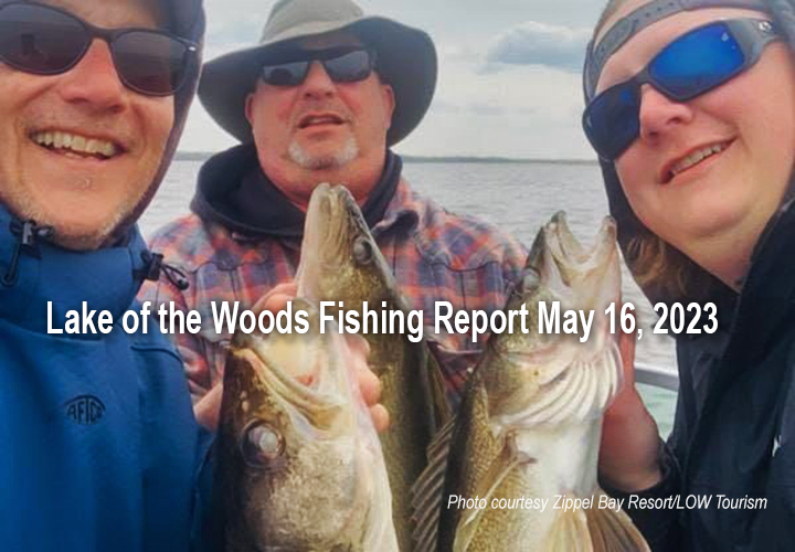 image links to fishing report from Lake of the Woods