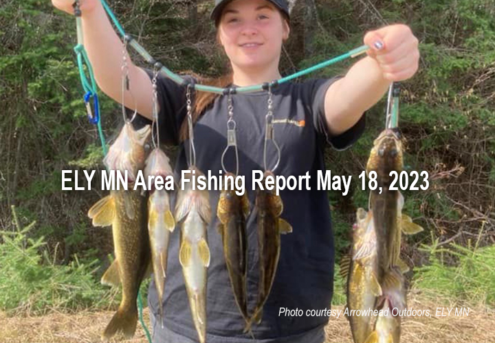 image links to fishing report from the ELY MN region