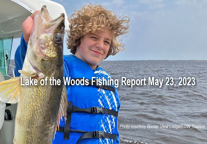 image links to walleye fishing report from lake of the woods