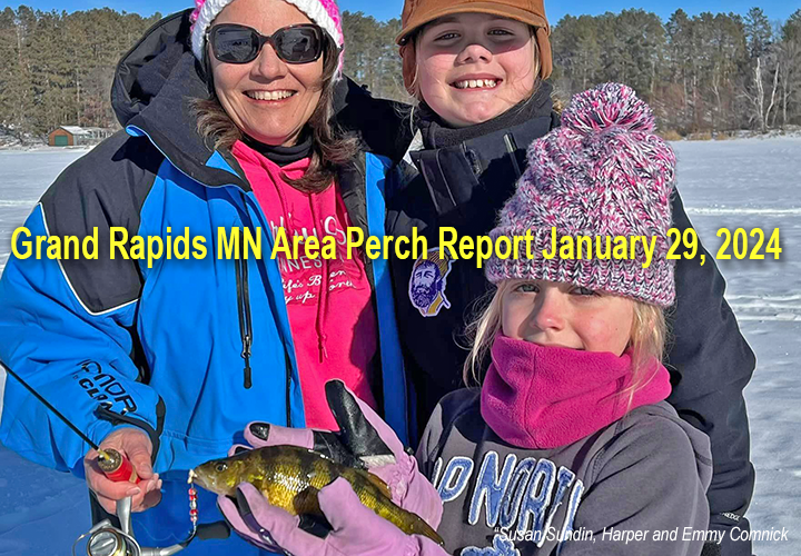 image links to perch fishing report from Grand Rapids Minnesota