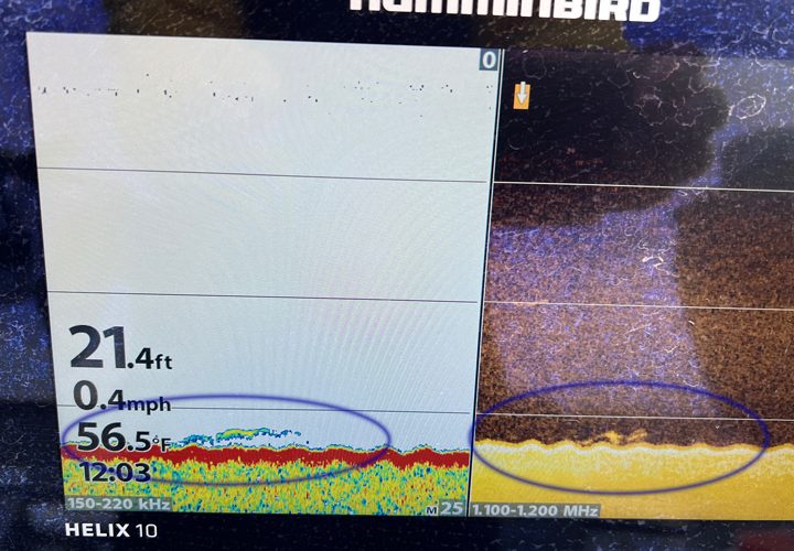 image of single walleye on screen of Helix 10 fishing graph