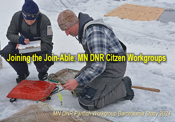 image links to article about MN DNR Fisheries Workroups