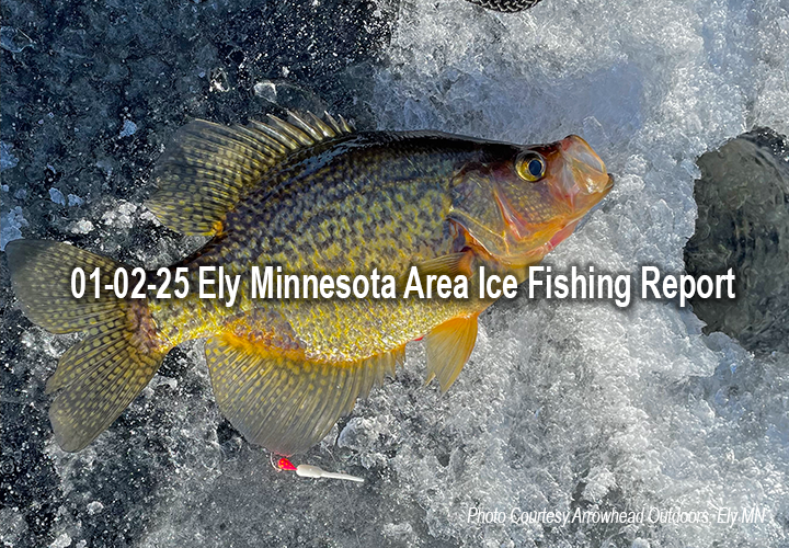 image links to ice fishing report from the Ely Minnesota area