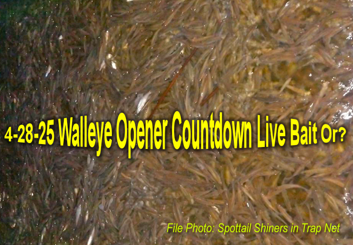 image links to fishing update about Minnesota's Walleye fishing openener