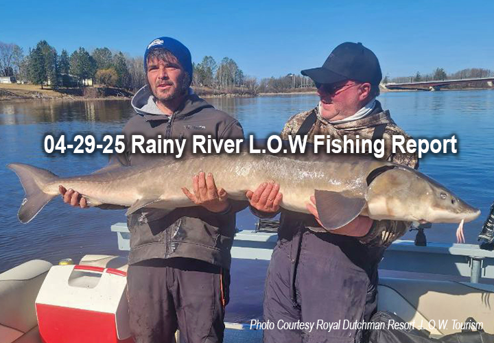 image links to rainy river and lake of the woods fishing reports