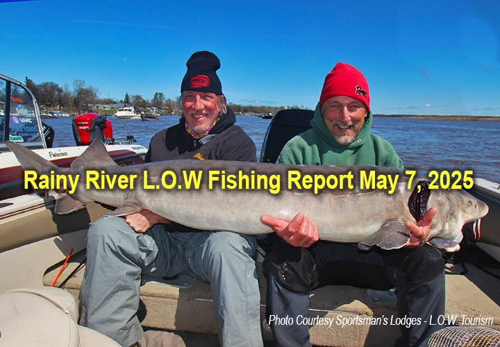image links to fishing report from the Rainy River and Lake of the Woods