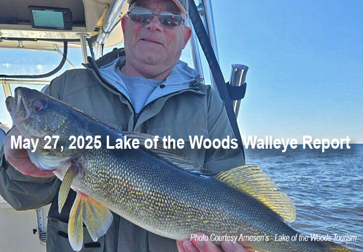 image links to walleye fishing report from Lake of the Woods