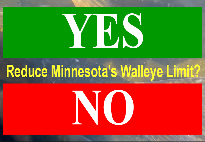 image links to public comment survey about the MN DNR walleye limit reduction rule