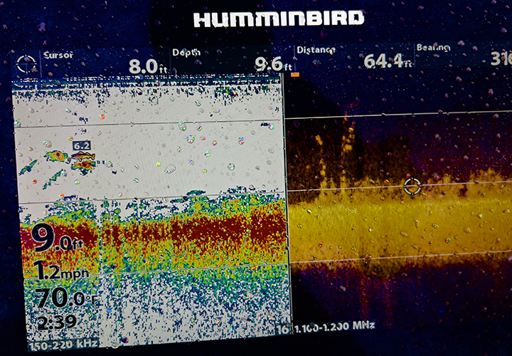 image of suspended walleyes on the screen of Jeff sundin's fish locator