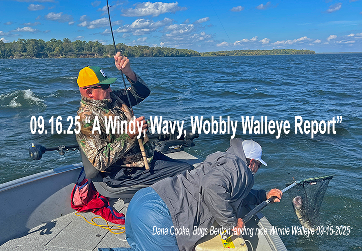 image of Dana Cooke and Bugs Benton landing a nice walleye on Lake Winnibigoshish