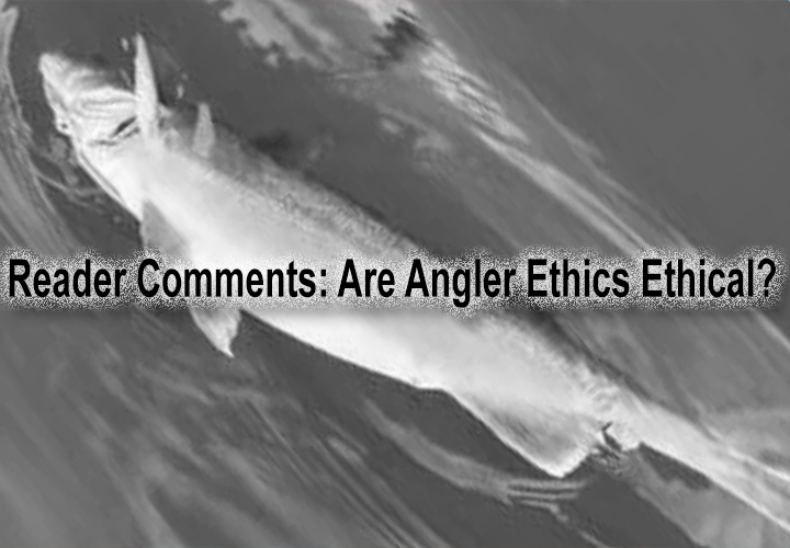 image links to fishing comments by reader about angler ethics and forward facing sonar