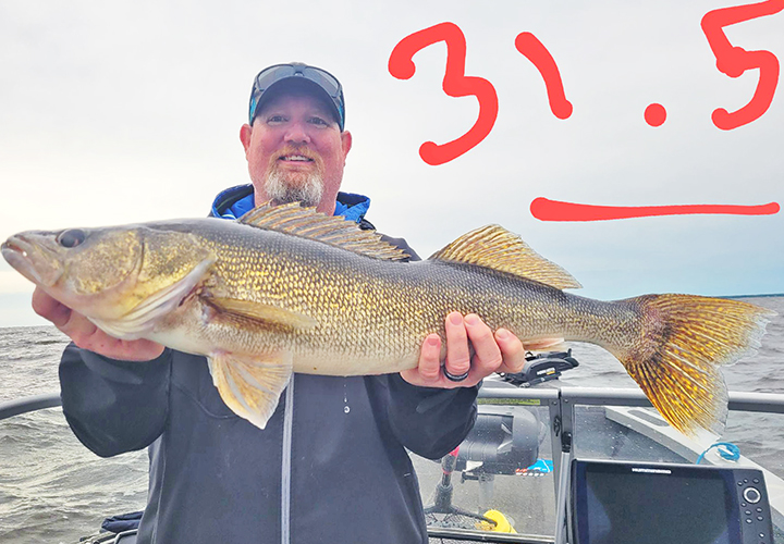 image of curt quesnell holding huge walleye he caught on Lake of the Woods 