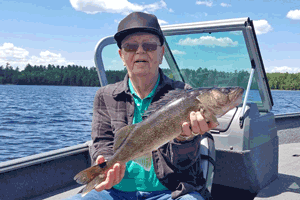 image of walleye caught by cork on Kabetogama