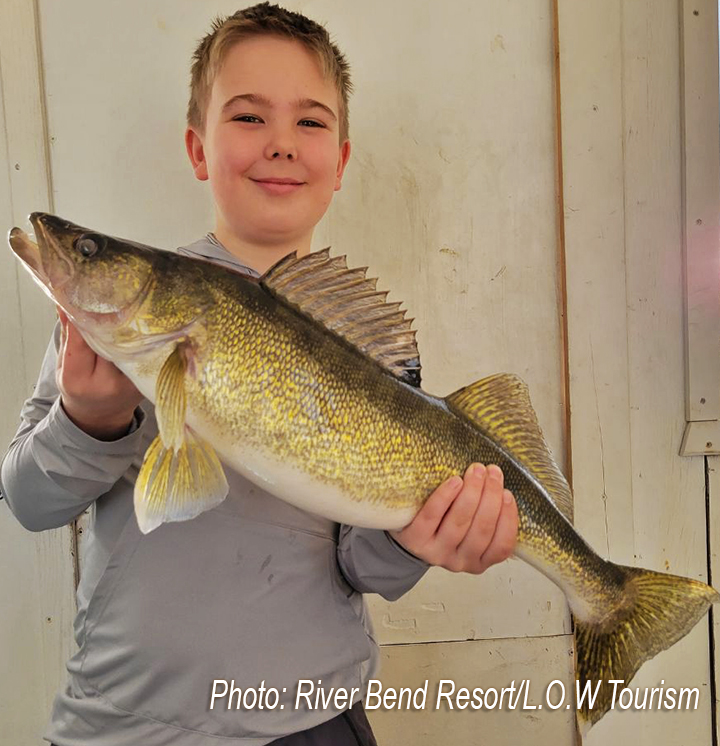 image of young man holding large walleye he caught while ice fishing on Lake of the Woods