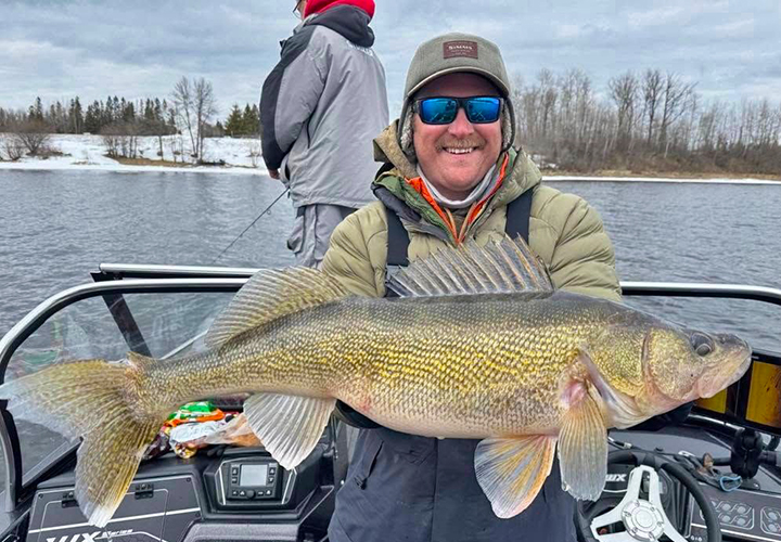 image of fisherman holding huge walleye he caught while fishing on the Rainy River