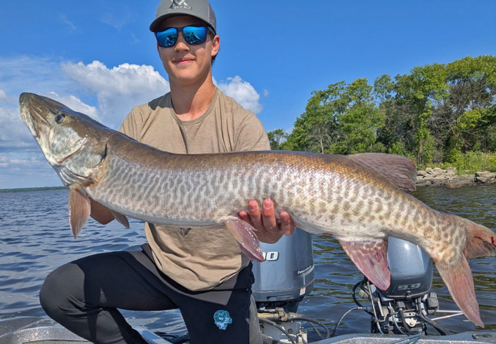 image of fisherman holding big musky he caught at the Northwest Angle of Lake of the Woods