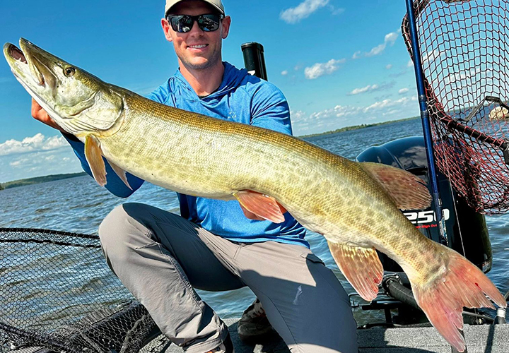 image of fisherman holding a large musky he caught while fishing at the Northwest Angle of Lake of the Woods