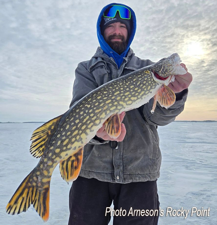 image of ice fisherman holding big northern pike he caught ice fishing on Lake of the Woods