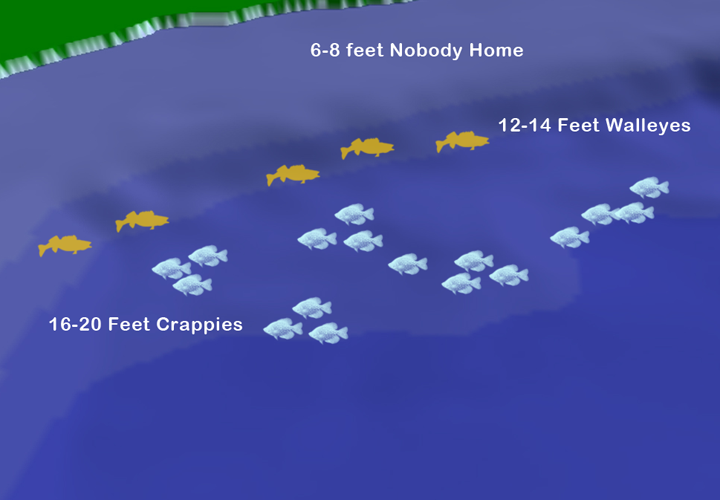 image of fall crappie and walleye locations on shallow, Grand Rapids Area lake