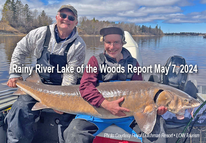 image links toi fishing report from the Rainy River and Lake of the Woods